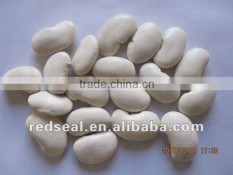 Low price large white kidney beans