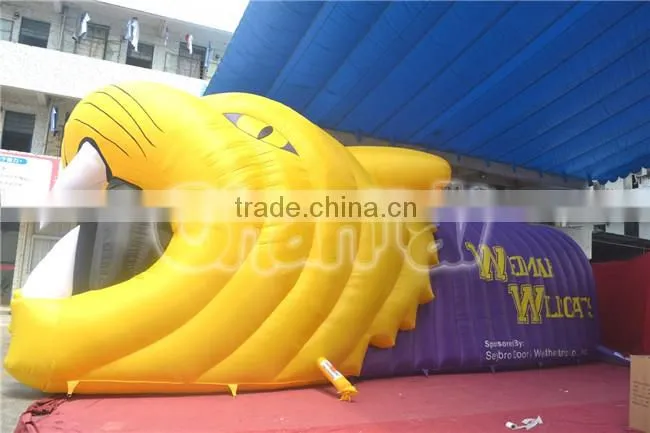 Hot Sale Inflatable Wildcats Helmet, Inflatable Football Helmet Tunnel for Sports