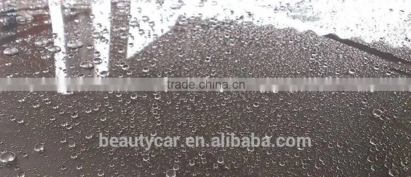 Car Care Car Detailing 9H Nano SIO2 Coating Nano silica coating