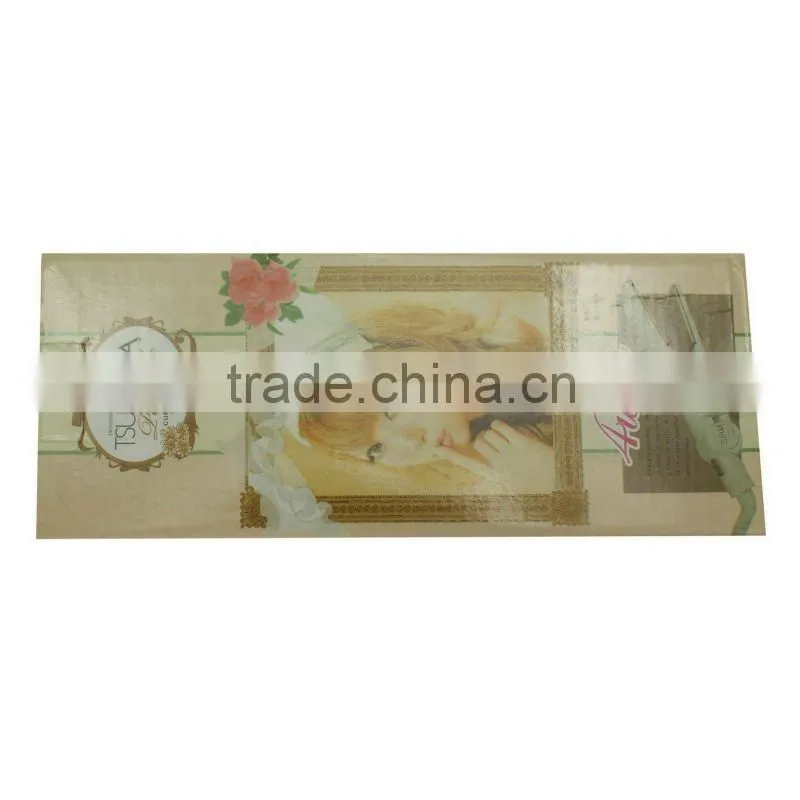 ZN209 Professional aluminum hair straightener B038