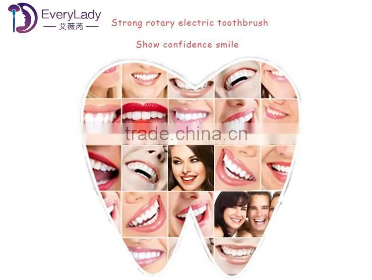 EveryLady electric toothbrush bristle adult toothbrush