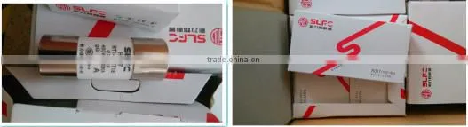 22*58 Fast Type R017 Fuse