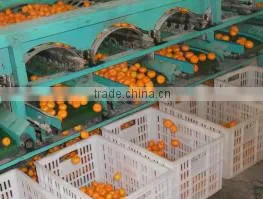 Qingdao Rong Hai Xin Da International Trading Co., Ltd. company overview - view 1