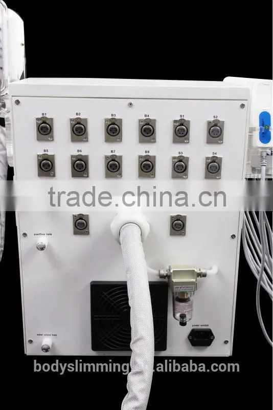 Cryolipolysis + Laser + RF + Cavitation For Slimming Skin Rejuvenation Device