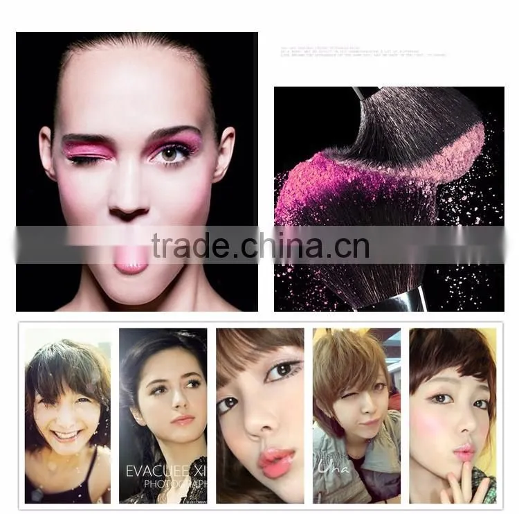 Hot sales Makeup Brushes Set