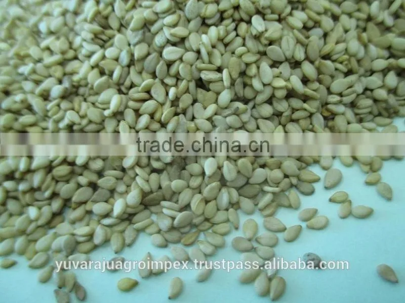 Somalia Origin Natural Sesame Seeds - 99.95%