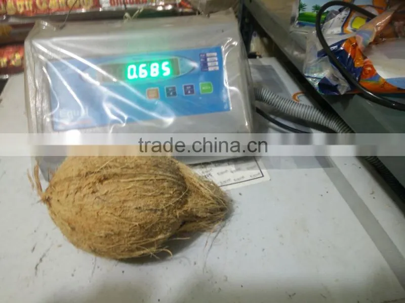 semi husked coconuts !!! Bulk order !!!