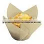 Plain Butterfly Cupcake Wrapper