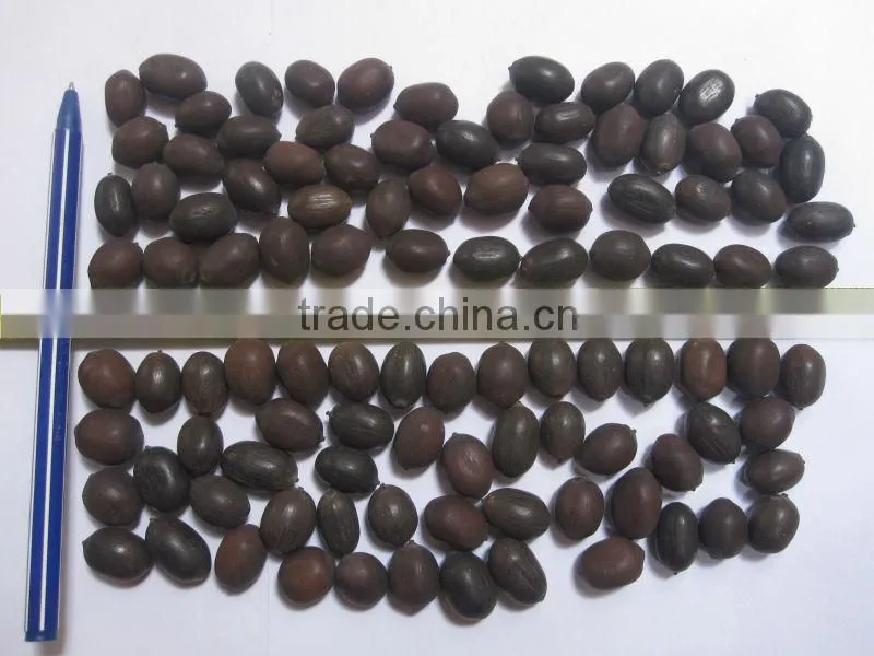 Dried Lotus Seed