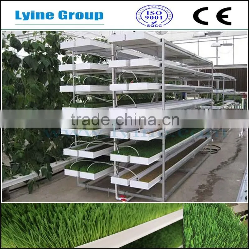 Green Roofs hydroponic trays gardening pots green rooftop planters