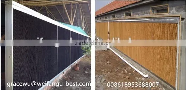 environmental controlled automatic prefabricated poultry house for broiler and layer