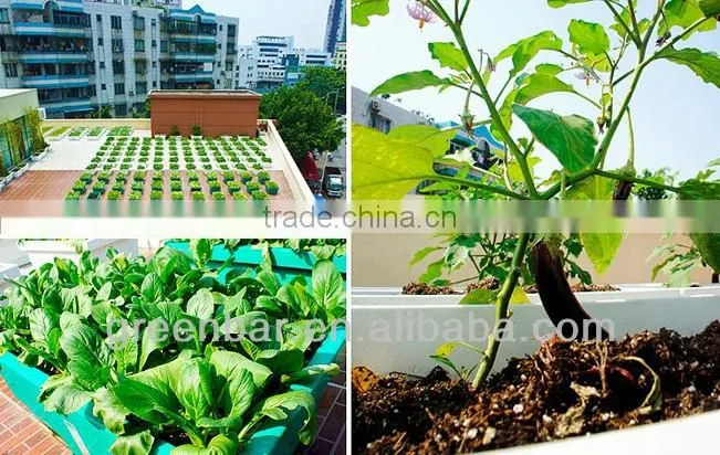 Veranda greening space magic planting pot