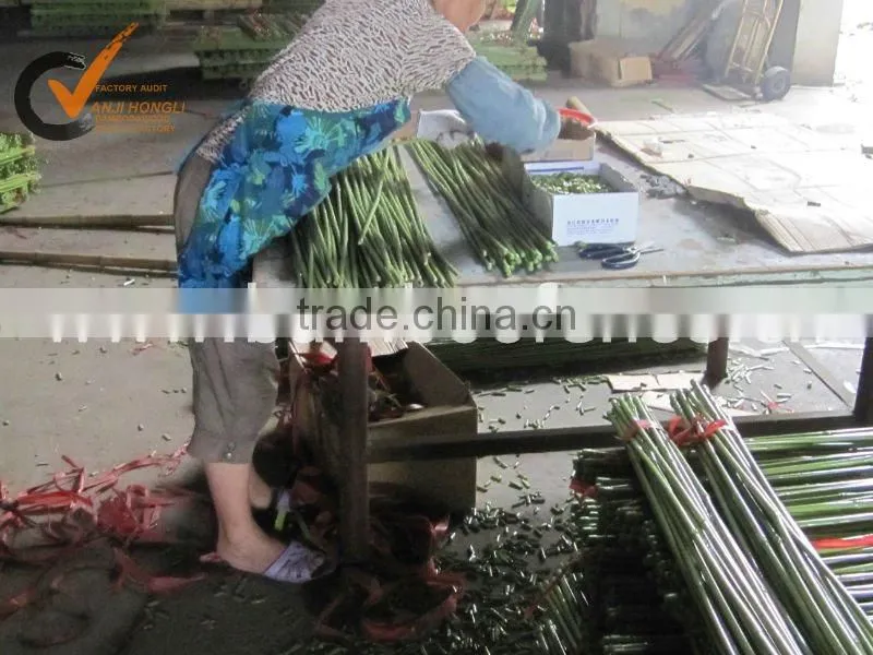plastic bamboo cane