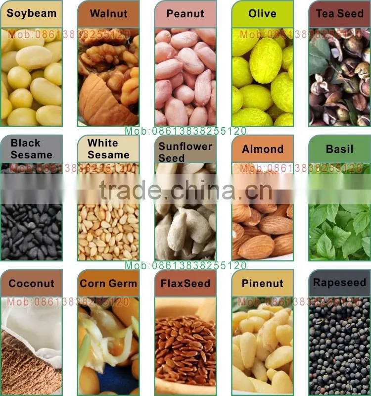 Machine Manufacturers Prickly Pear Seed Oil Extraction Machine