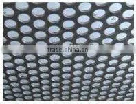 Hot- Dipped Galvanized Perforated Metal Sheet/ Mesh