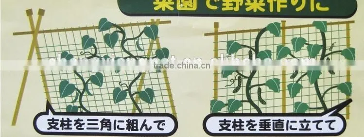 2016 jinan Environmentally friendly Fruit Fly Nets