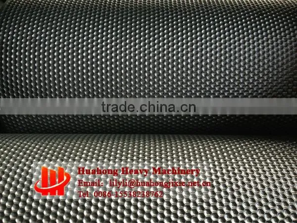 double roller compaction granulator manufacturer