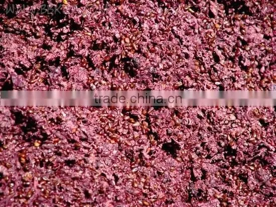 Rotary Fruit Pomace Dryer, FREE Installation &Operation Training! Turnkey Service!