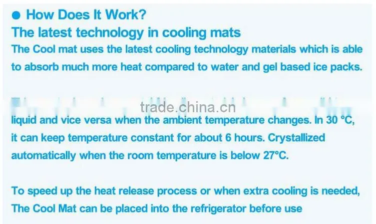 newest and eco-friendly ice pad , ice cushion for computer for pet
