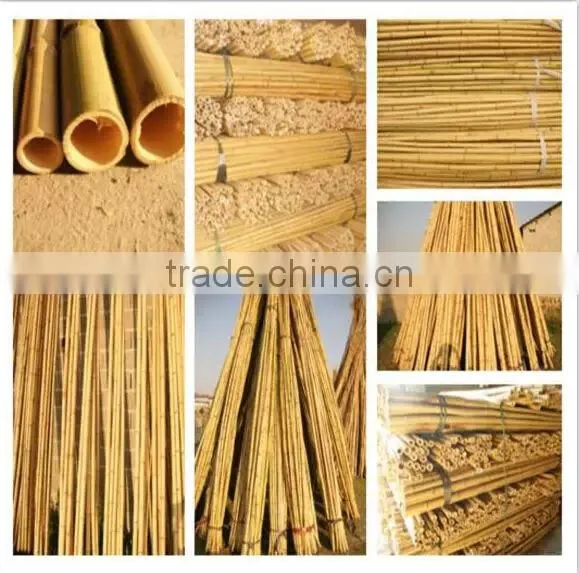 high quality garden bamboo canes