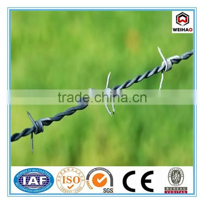 top selling products wall spike wire electric fence wire