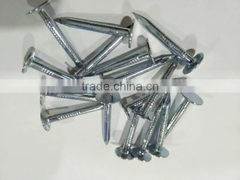 big head clout nails hot selling CHINA