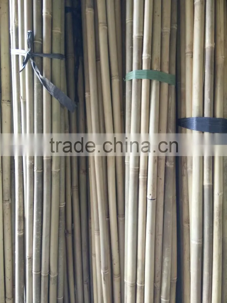 vineyard pole ,bamboo poles wholesale