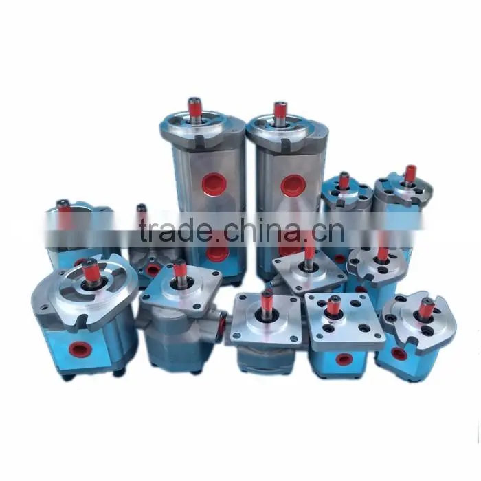 China hydraulic gear motor