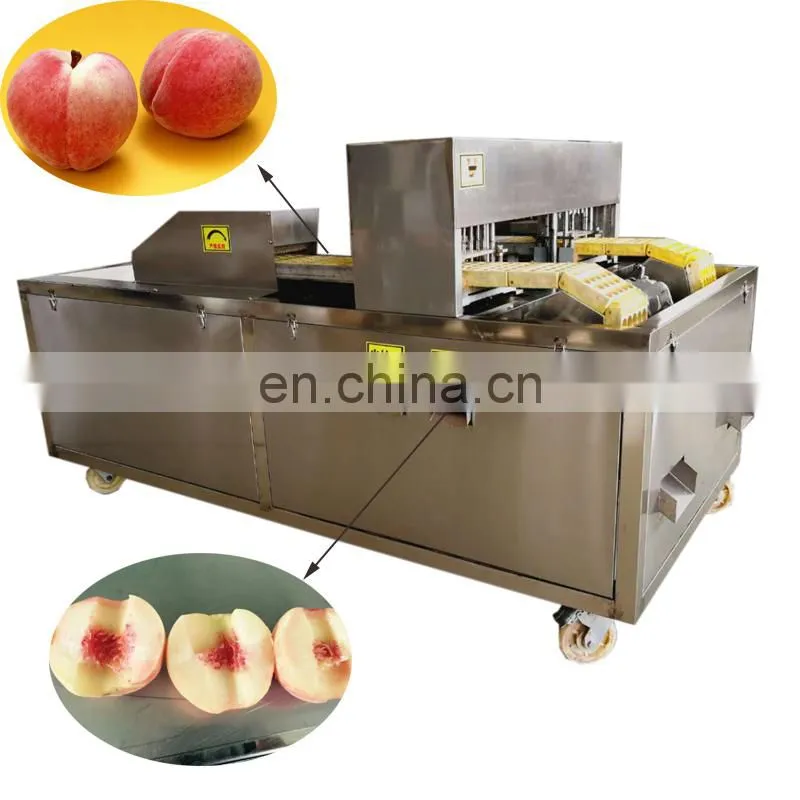 peach seed removing equipment peach nuclear pitting machine.