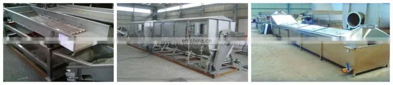 Good Performance Quick Frozen Machine Green Soy Bean Fruit Vegetable Making Machine Processing Machinery/processing plant