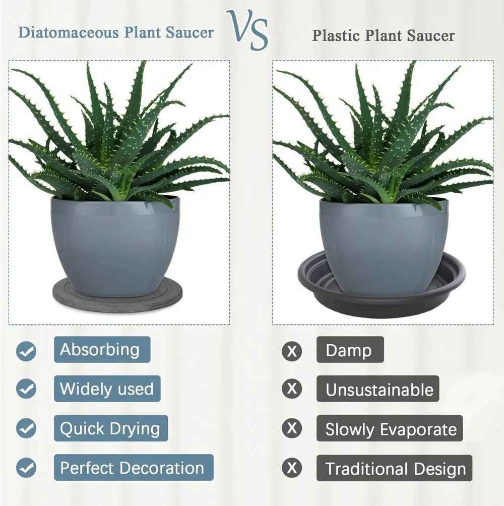 why diatomite stone plant coastes