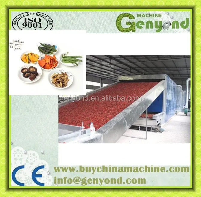 DW Series Mesh Belt Dryer Fruit and Vegetable Dryer