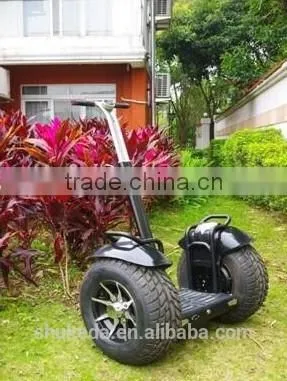 2000W Big wheel self-electric chariot