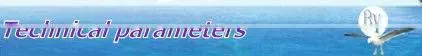 30g,25kg Chemical Silicon Powder Vibrating Filling Machine/0086-18516303933