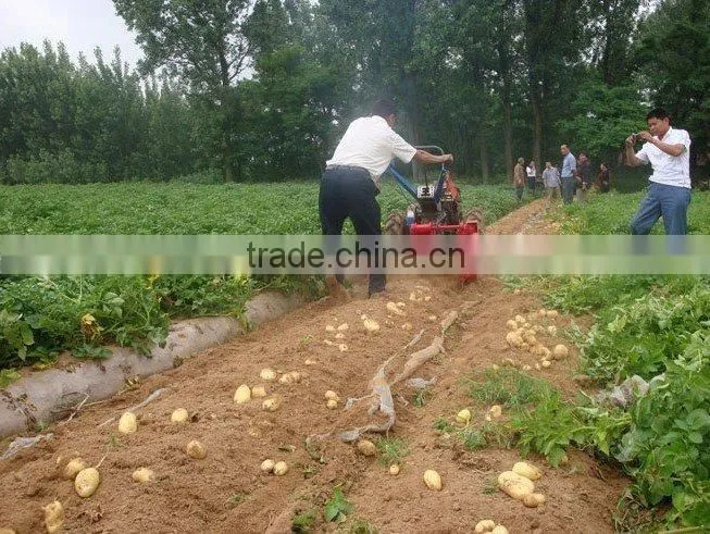 mini hand potato harvester for walking tractor