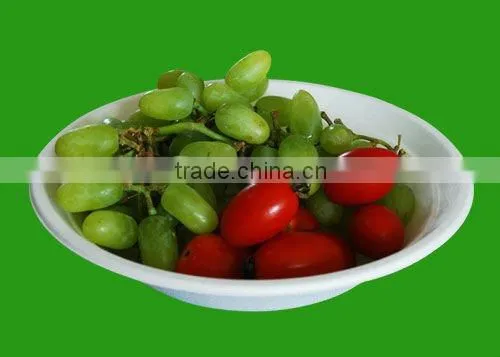 disposable tableware sugarcane pulp bowl