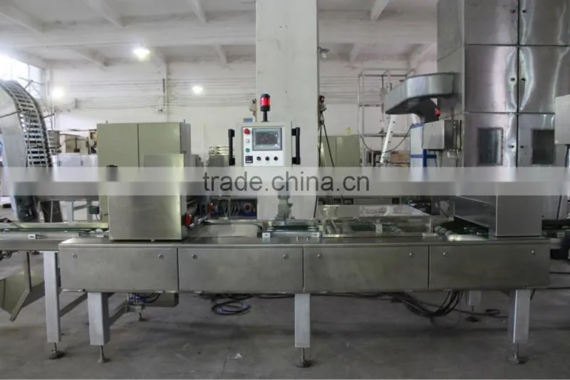 51 Plate Wafer Production Line/Wafer machine/Wafer biscuit machine/Wafer make machine/Wafer line With trade assurance by ALIBABA