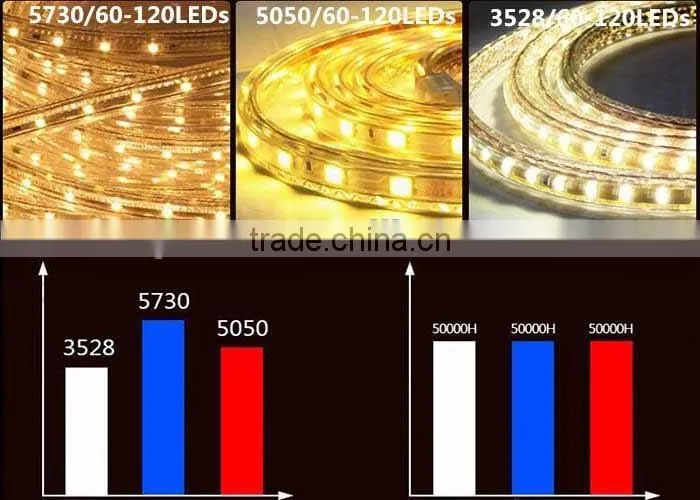 DIY LED Rope Light 110-220V IP67 Multiple Color LED Strip Light