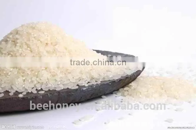 NON-GMO High quality Manufacturer Rice Starch