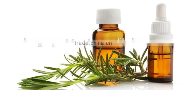 Pure Rosemary Oil From India | Natural Rosemary Oil For Export Only