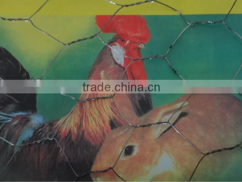 lowest price galvanized hexagonal wire mesh for chicken
