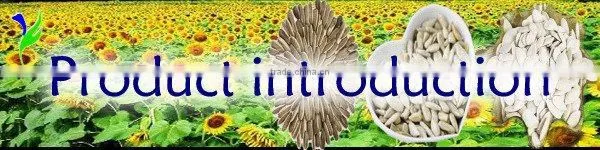 2014 new crop best quality wholesale blanched peanuts price