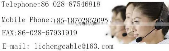 Best Quality FZ-VV25mm2 PVC Insulated and Sheathed Branch Cable