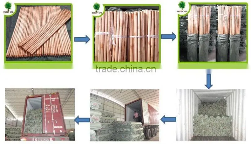 Good quality varnished wood mop sticks/ shovel handles 120*2.5CM