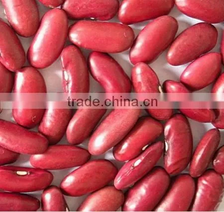 British Red Kidney Beans Crop 2015