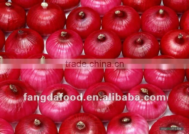 fresh yellow onion(in low price)