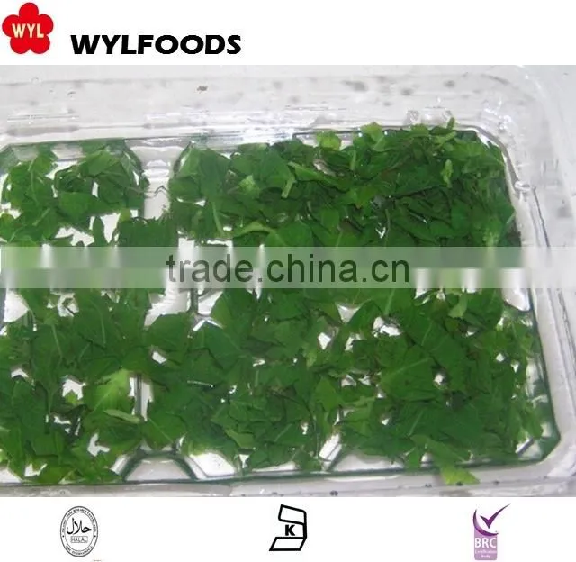 Frozen Basil with good quality .grade A