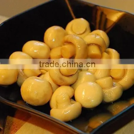 salted champignon mushroom