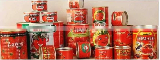 Hot Sale Canned Tomato Paste with High Quality