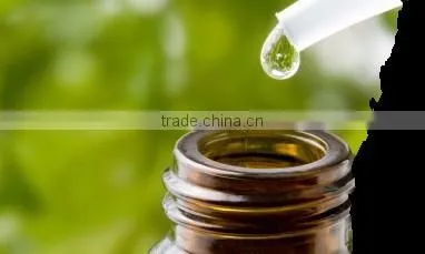 CARAWAY ESSENTIAL OIL